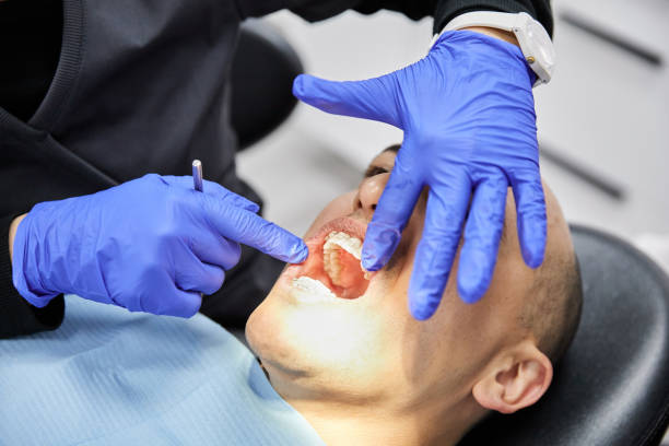 Best Emergency X-Rays and Diagnostics in North Fort Lewis, WA
